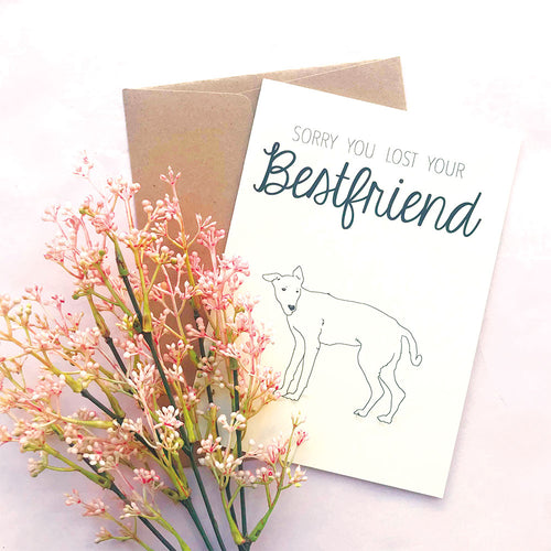 -60% Greeting Card Sorry (Lomito)